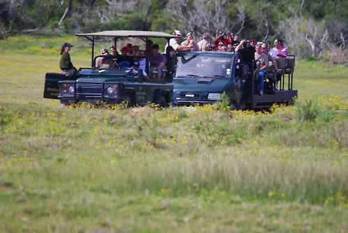 Kragga Kamma Game Park Villa Port Elizabeth Hotel