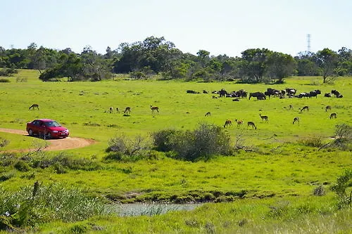 *** Hotel Kragga Kamma Game Park Villa Port Elizabeth South Africa