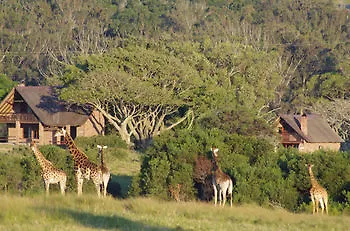 *** Hotel Kragga Kamma Game Park Villa Port Elizabeth South Africa