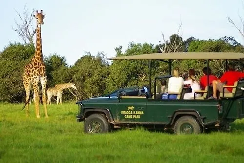Kragga Kamma Game Park Villa Port Elizabeth