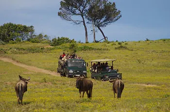 Hotel Kragga Kamma Game Park Villa Port Elizabeth